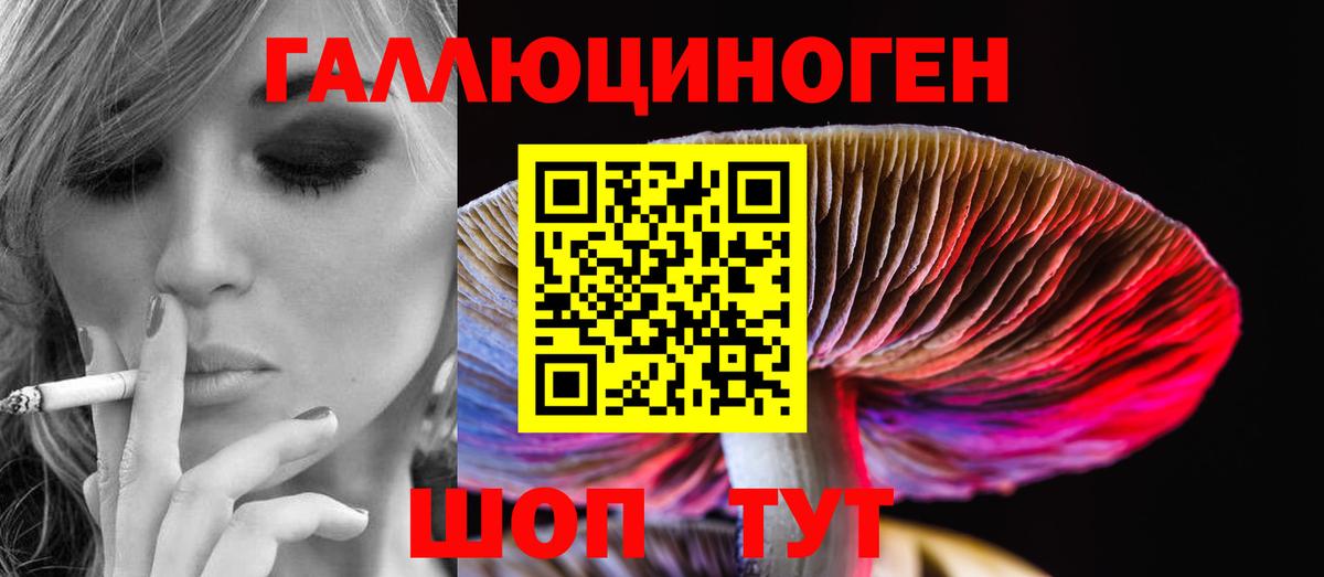Галлюциногенные грибы Psilocybine cubensis  Вход с VPN  Жуковский 